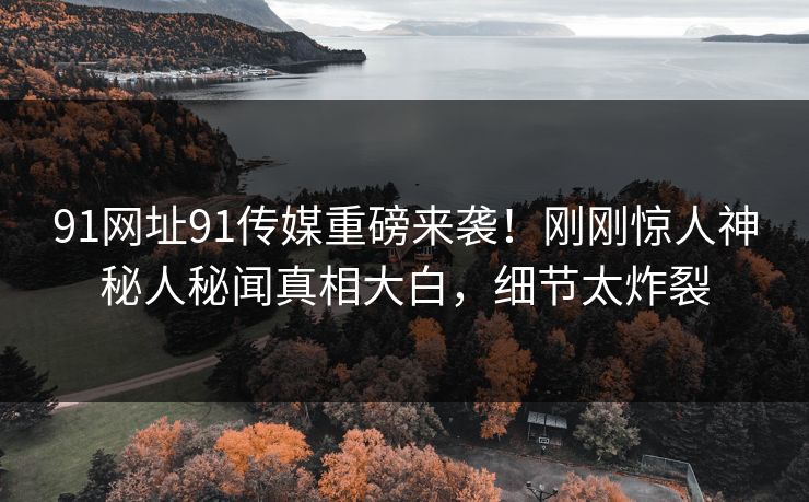 91网址91传媒重磅来袭！刚刚惊人神秘人秘闻真相大白，细节太炸裂