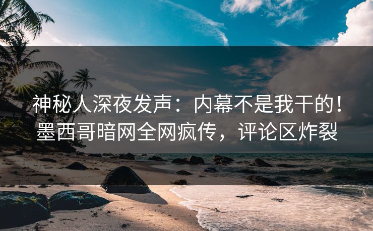 神秘人深夜发声：内幕不是我干的！墨西哥暗网全网疯传，评论区炸裂